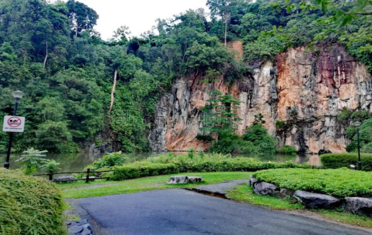 Condominium Nearby Bukit Batok Reservation Park