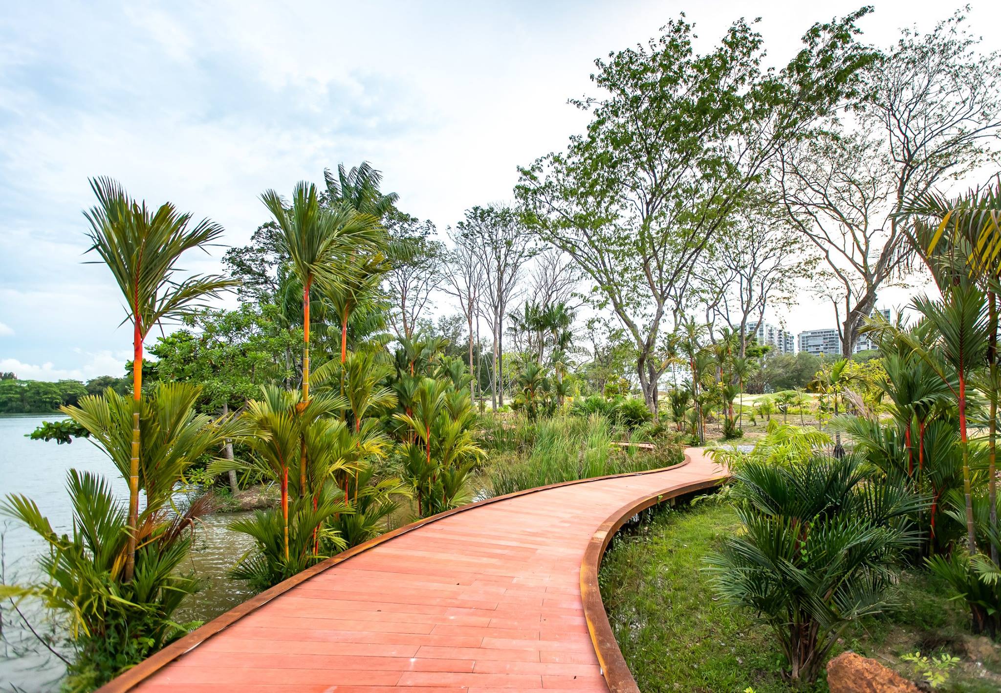Jurong Lake Garden